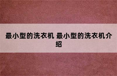 最小型的洗衣机 最小型的洗衣机介绍